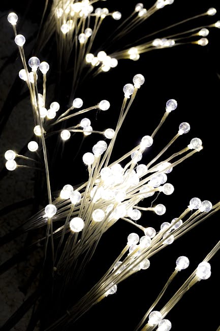 Photo by Magda Ehlers